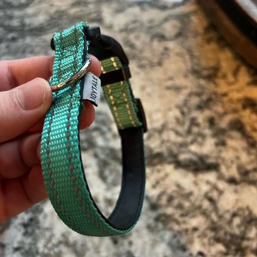 Dog Collar Size Small - Picture 1 of 4